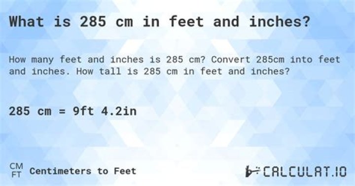 285 cm to feet 285 cm in feet