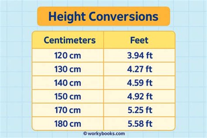 55 cm to feet 55 cm in feet