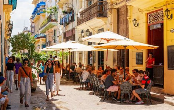 cafe havana cafe havana