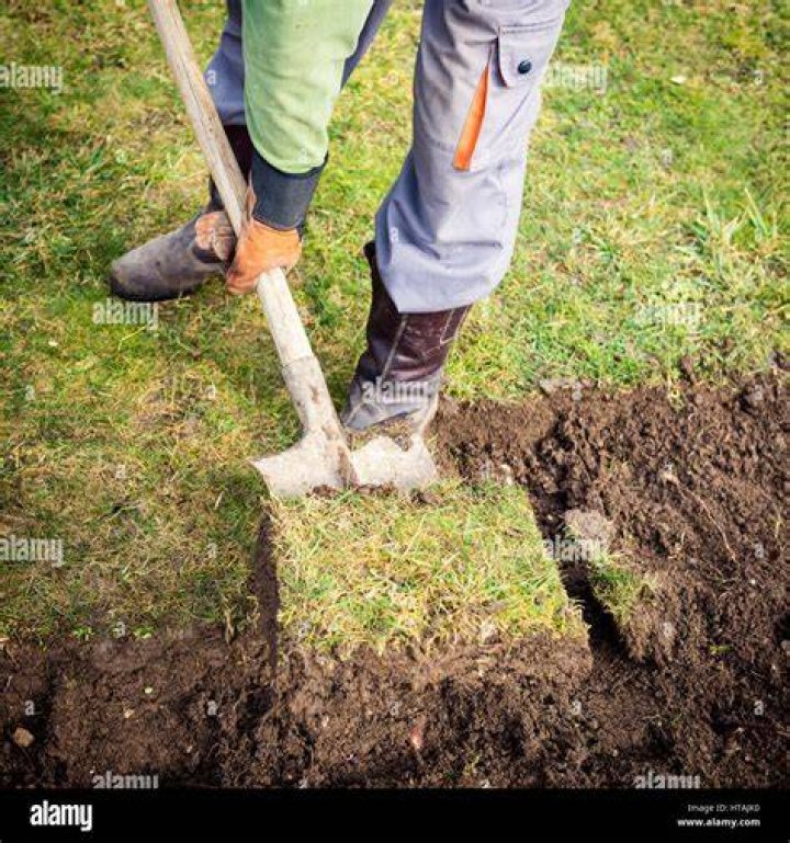 DIGGING