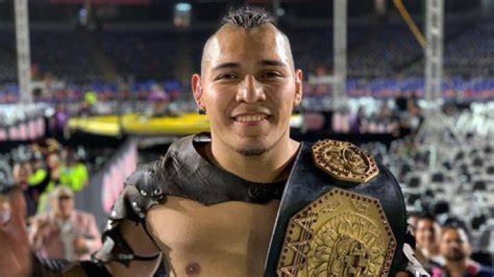el hijo del vikingo rey mysterio