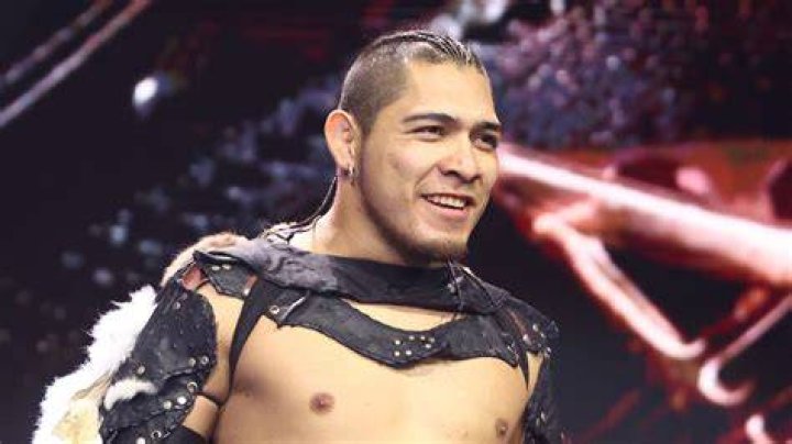 El Hijo Del Vikingo TNA Hard to Kill