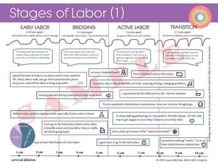 Final stages of labor final stages of labor