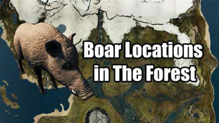 Find Boar With This Interactive Map