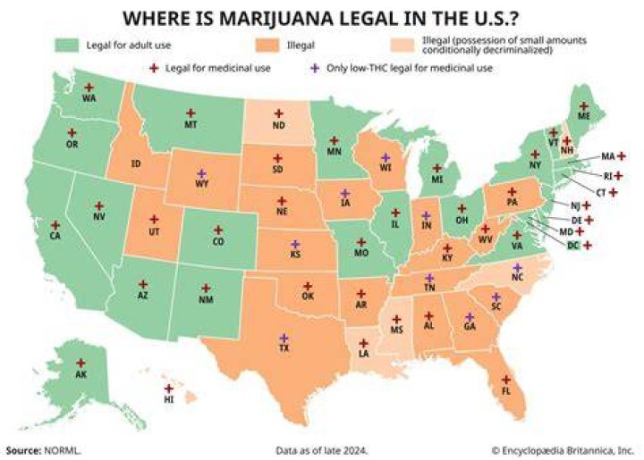 How states have reshaped marijuana laws and what’s next