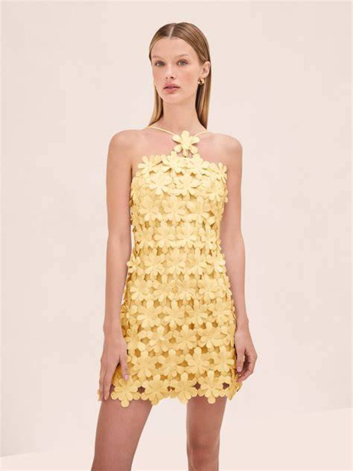 Lily Dress Lily Dress