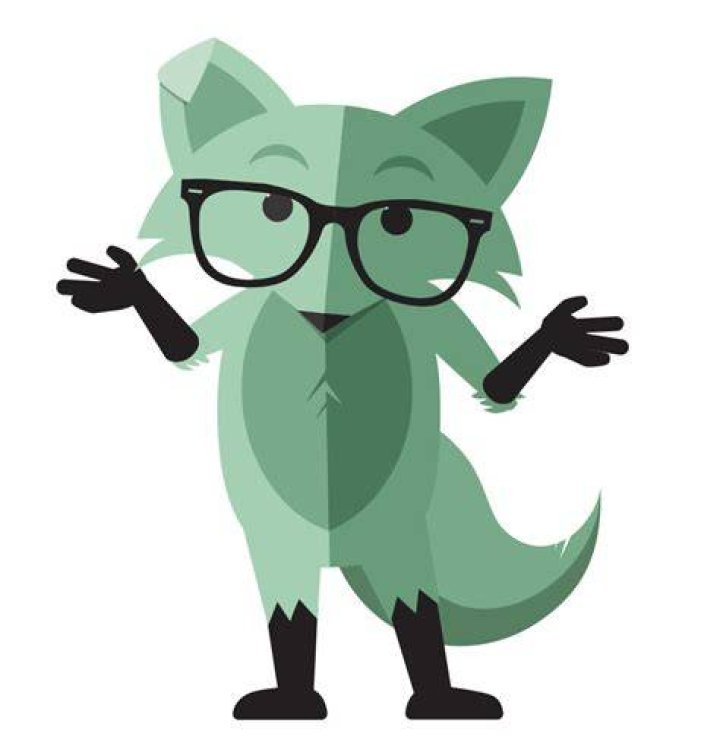 Mint Fox Thinking
