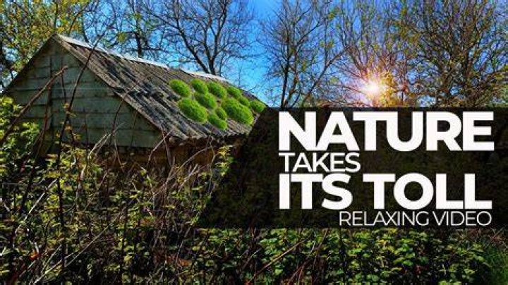 nature takes a toll