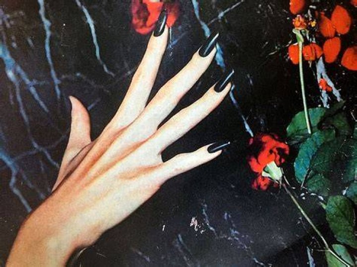 NYFW Designers Share their Inspiration for Fall 2016