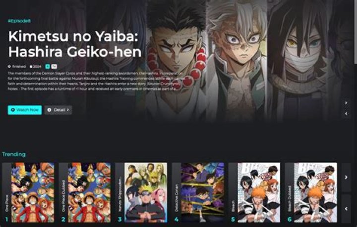 Official Anime Online artwork featuring an anime-style character