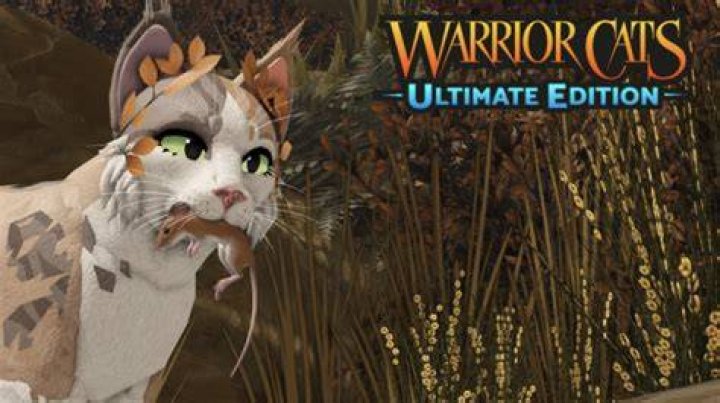 Screenshot from Warrior Cats: Ultimate Edition, showing two cats looking across a snowy landscape