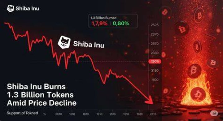 ShibArmy Burns 1.3 Billion SHIB in January