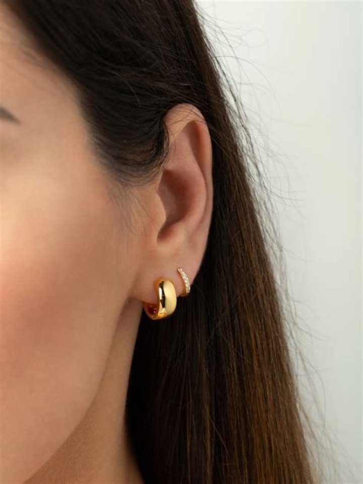 Small Chunky Hoop Earrings Small Chunky Hoop Earrings