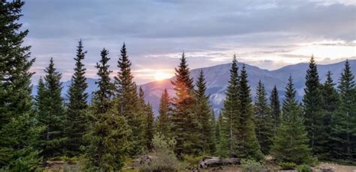 Tree, Tropical and subtropical coniferous forests, Vegetation, Forest, Natural landscape, Nature, Natural environment, Atmospheric phenomenon, Biome, Green, Tree, Tropical and subtropical coniferous forests, Vegetation, Forest, Natural landscape, Nature, Natural environment, Atmospheric phenomenon, Biome, Green,