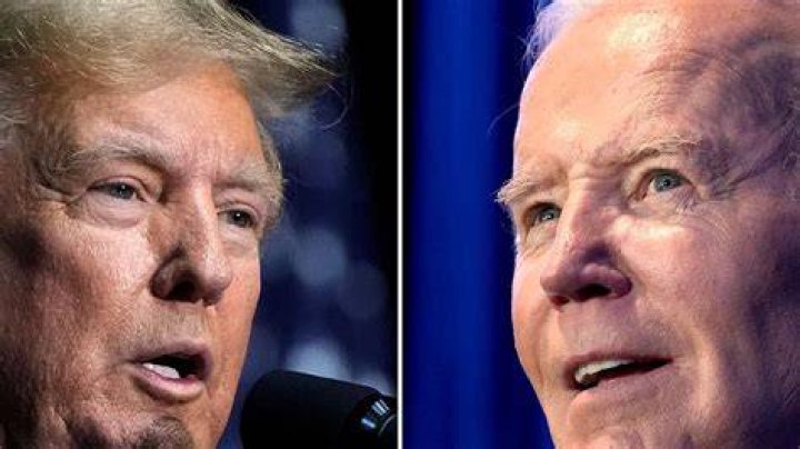What polling does — and doesn’t — tell us