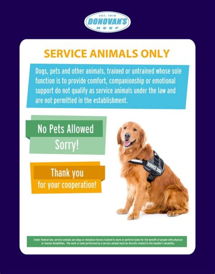 What Service Animals Are Allowed In Target